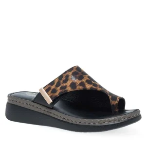 Γ 12133034  PAREX BLACK LEOPAR