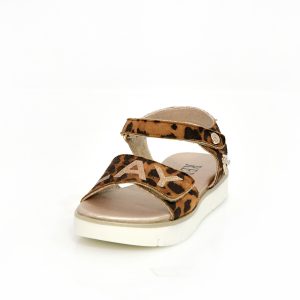 Π 2641 REPLAY LEOPARD Νο 30-35 (JT240020TS) - Image 5