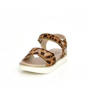 Π 2642 REPLAY LEOPARD Νο 36-39 (JT240020T) - Image 4